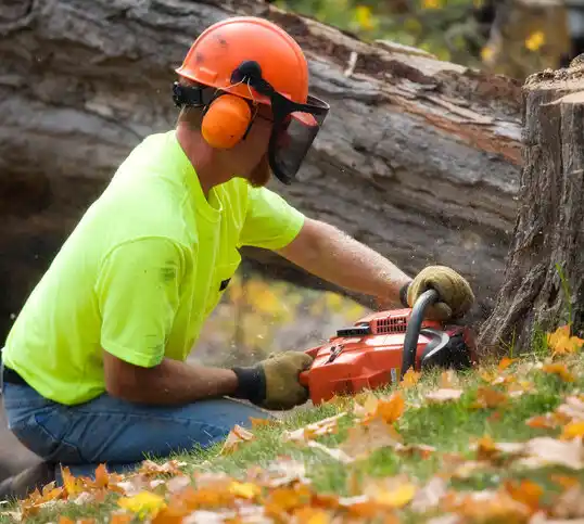 tree services Milford Mill